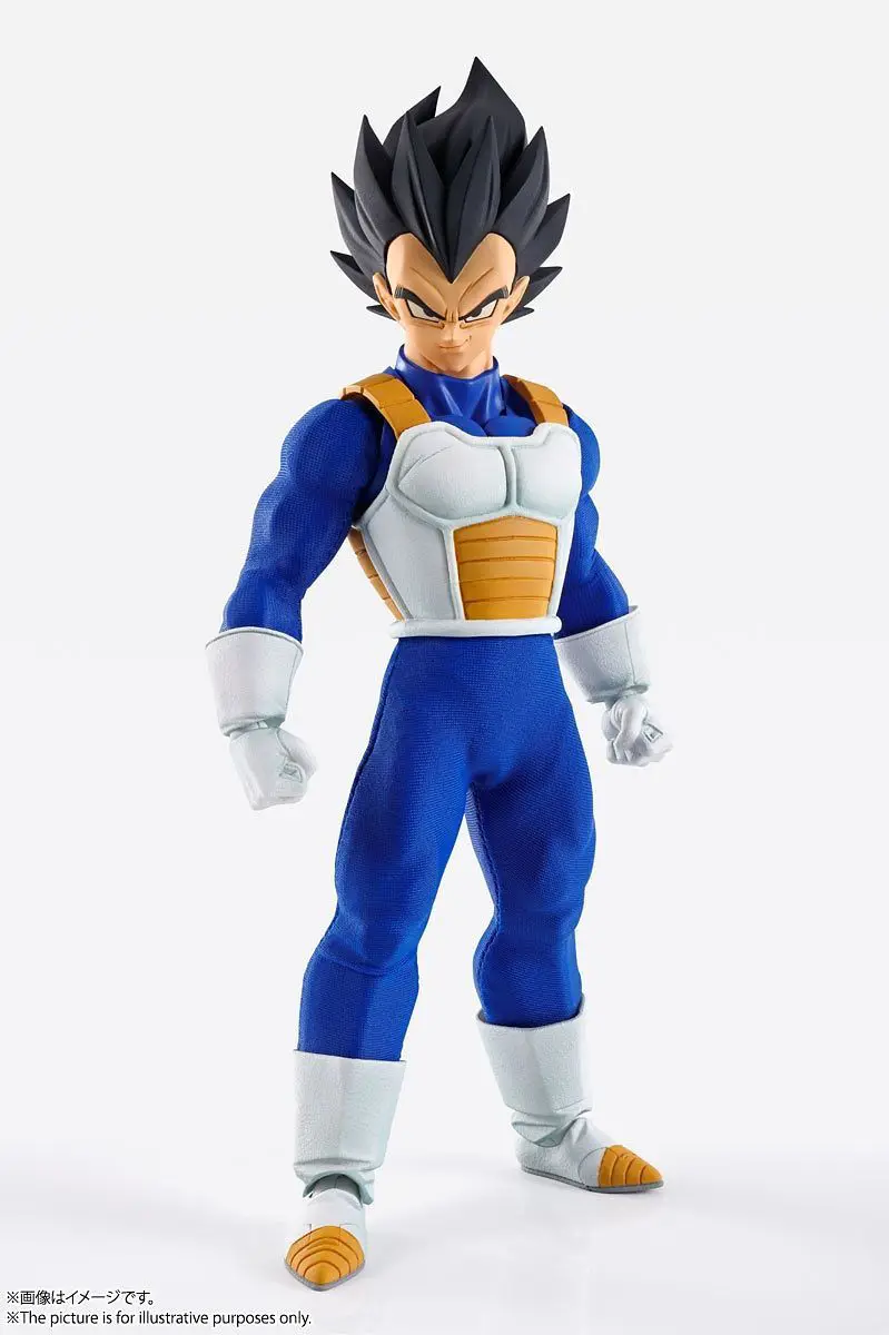 Vegeta Dragon Ball Z